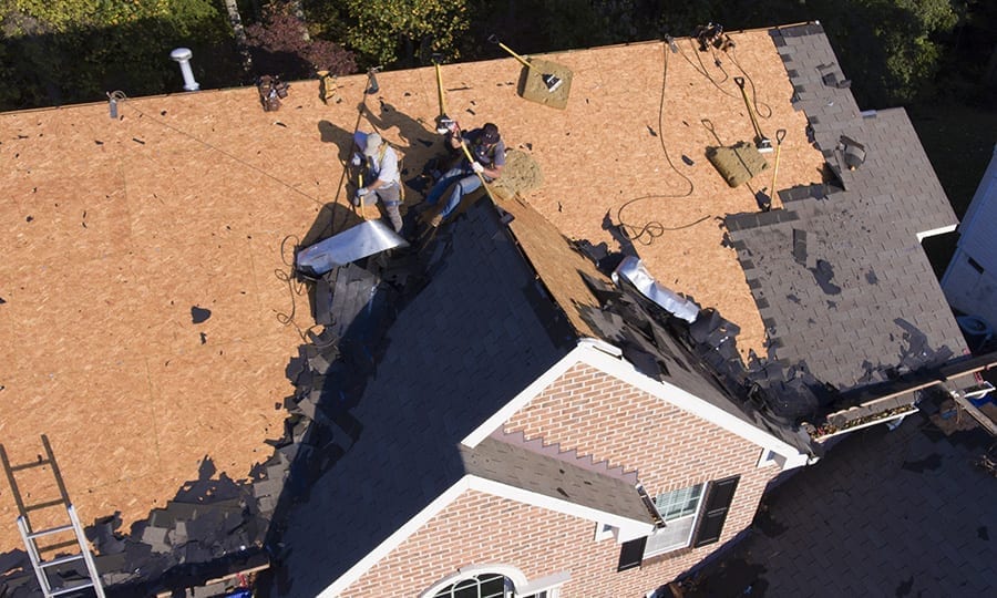 Read more about the article Questions You Should Always Ask a Roofing Contractor